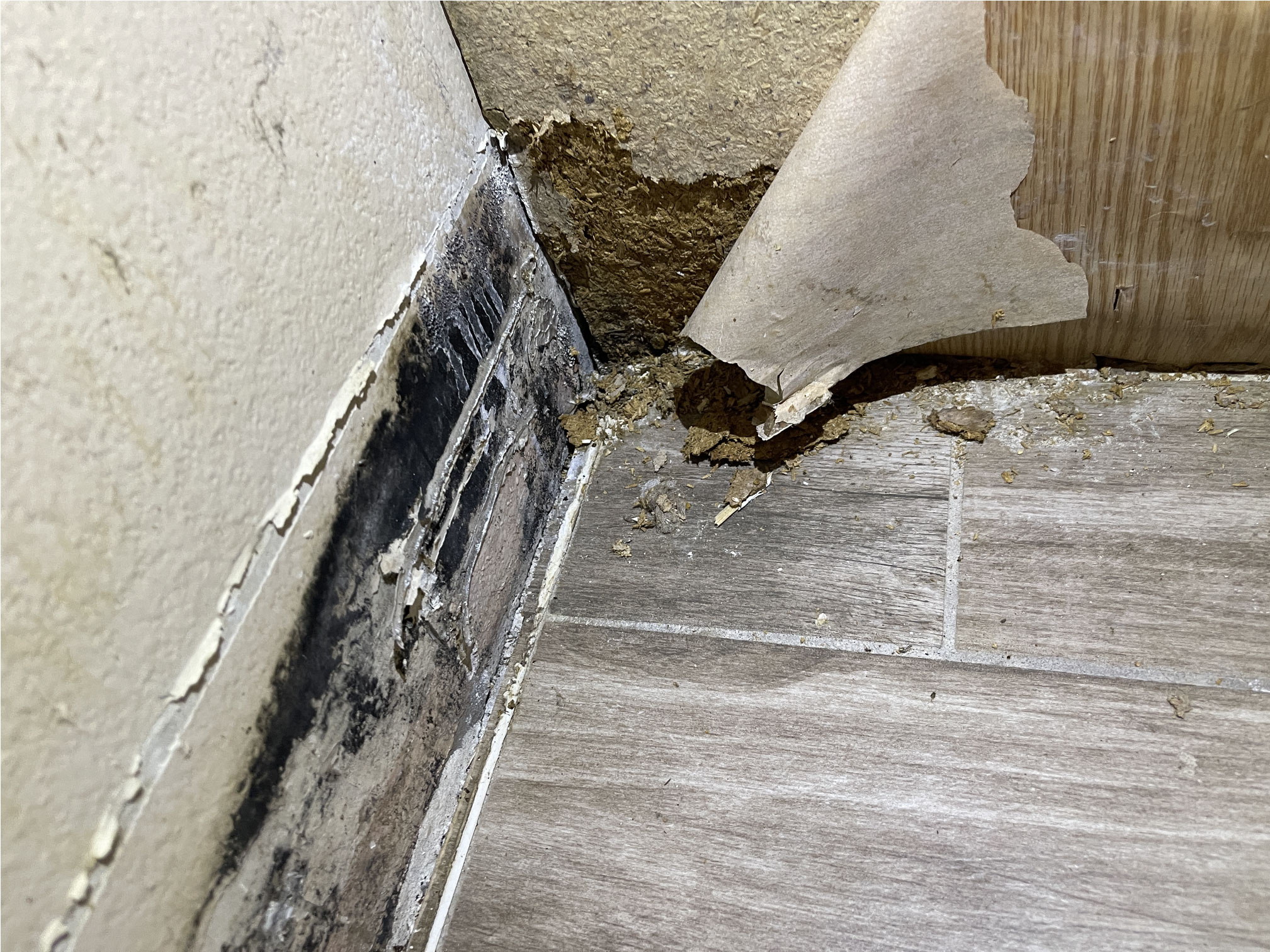 Mold Damage